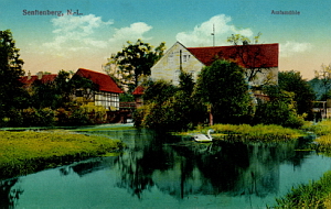 Senftenberg
